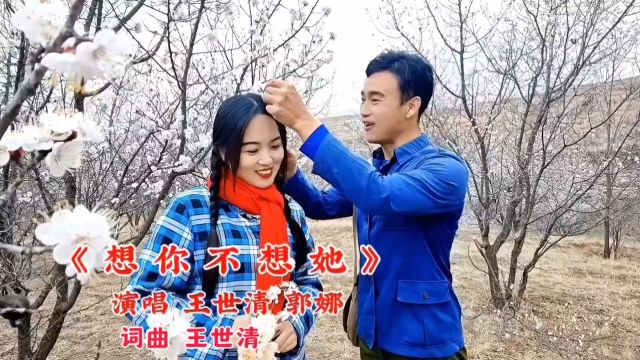 《想你不想她》演唱王世清 郭娜 词曲王世清