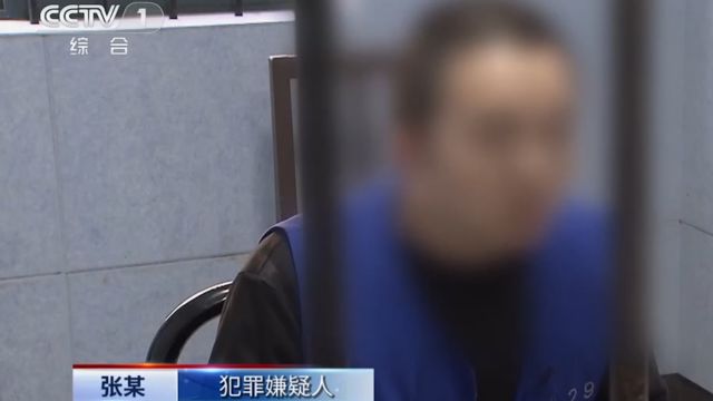 夫妻俩联合中介卖房,虚构价格骗取银行贷款1000多万,涉嫌诈骗被捕