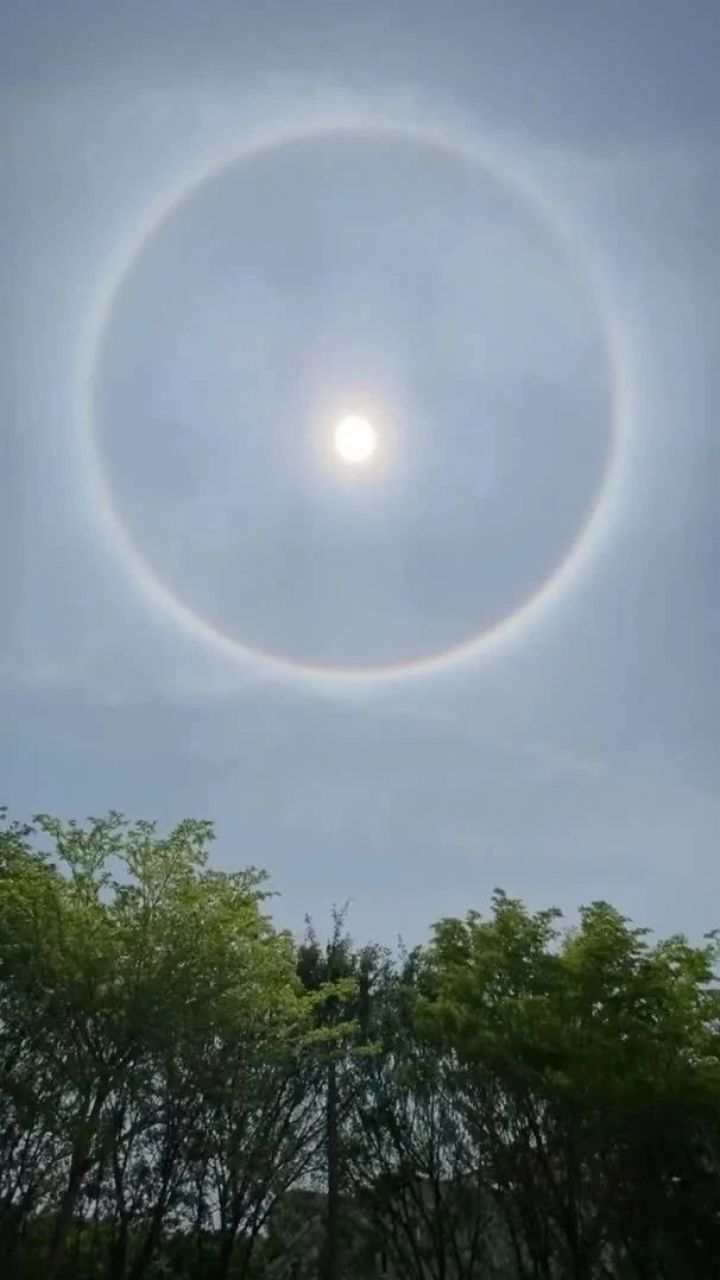 快看!深圳惊现"日晕"!