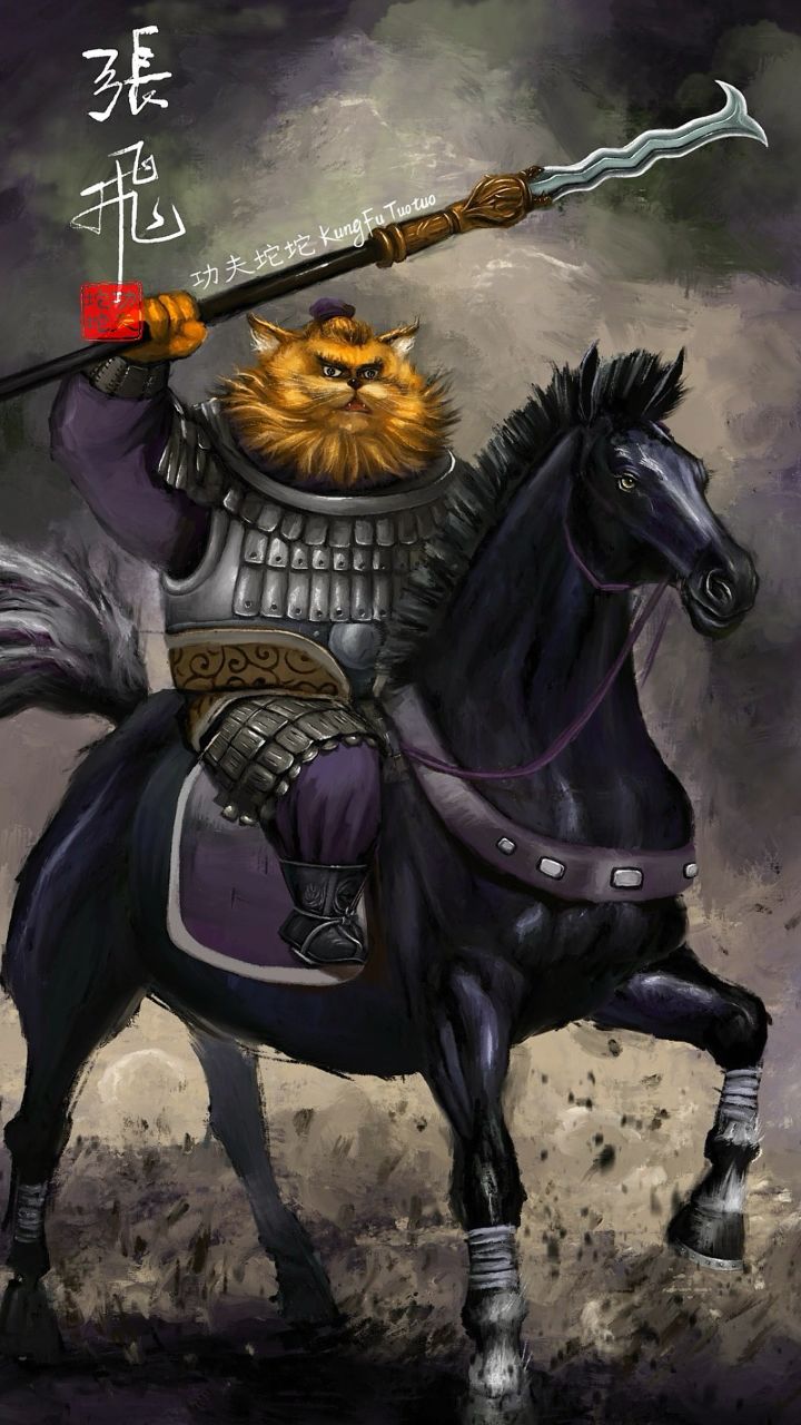 张飞#kungfutuotuo#功夫坨坨#三国演义#张飞