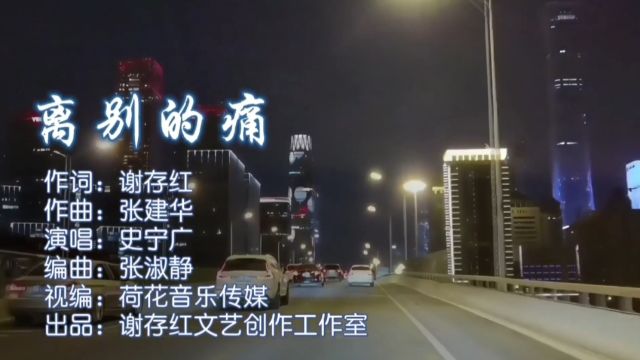 离别的痛MV作词:谢存红;作曲:张建华;演唱:史宁广