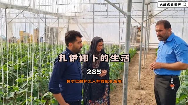 努尔巴赫一刻不停忙碌,想尽快给扎伊娜卜建个不怕风吹日哂的厨房