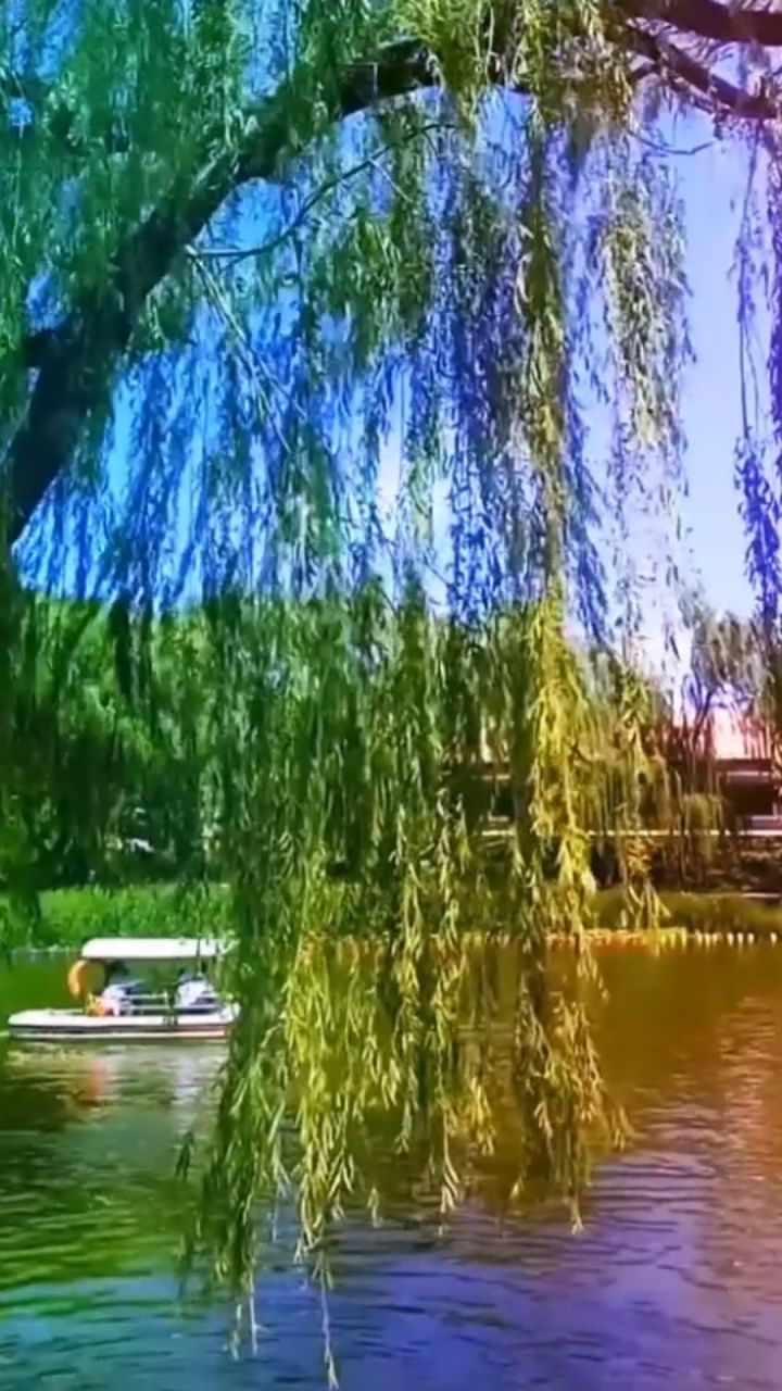 风含情,水含笑