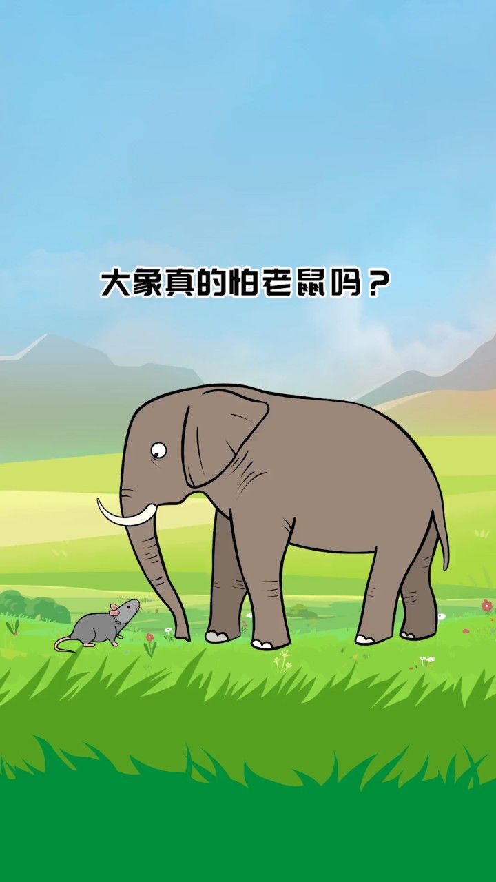 大象真的怕老鼠吗?