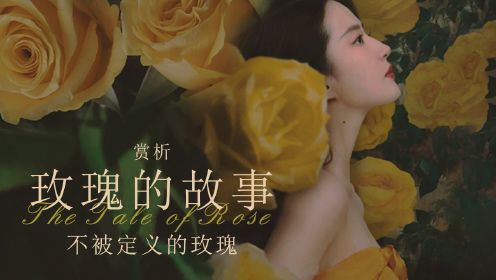 《玫瑰的故事》：黄玫瑰的人生设定