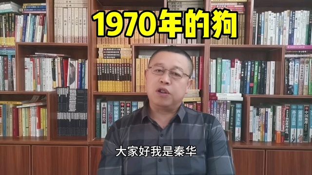 1970年出生的属狗人怎么样?十二生肖