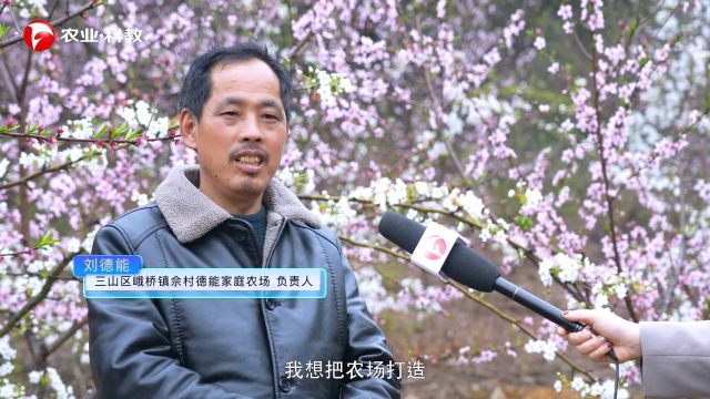 安徽新视点栏目报道—三山区峨桥镇佘村德能家庭农场