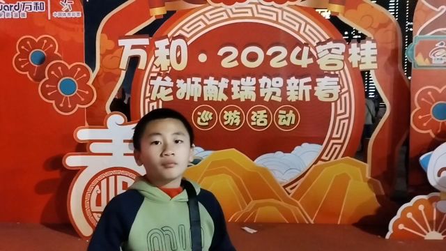 忆2024烟花十盛放