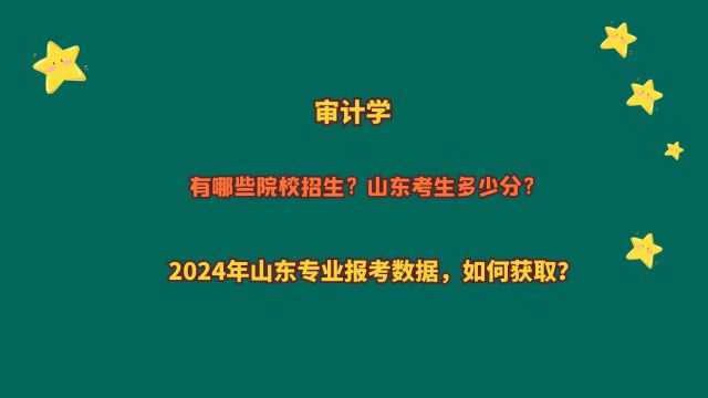 审计学,有哪些院校招生?山东考生多少分?2024山东专业报考数据