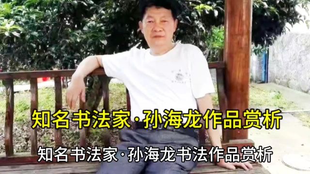 知名书法家ⷮŠ孙海龙作品赏析