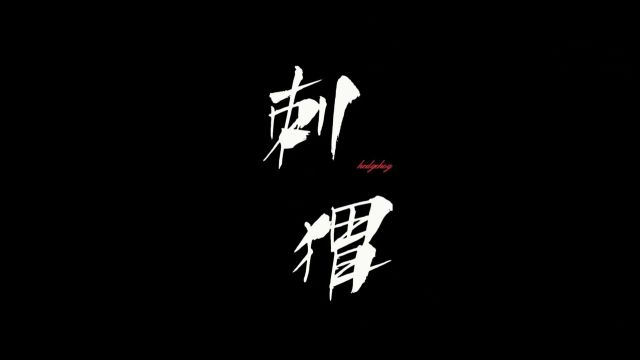 《刺猬》预告片 加长版 主创团队:王欢 郭钰 李欣卓 鲍喜燃 指导老师:田玲玉