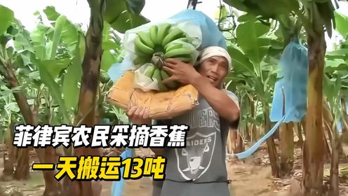 菲律宾农民采摘香蕉，一天搬运13吨，筋疲力尽却还要感谢中国