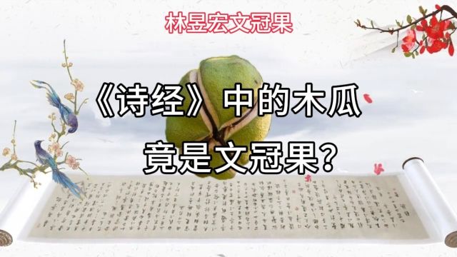 《诗经》中的木瓜,竟是文冠果?