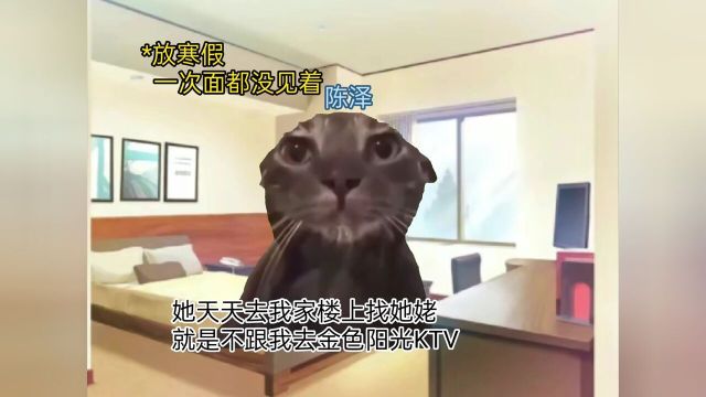 陈泽处对象把头像换成人家名了#猫meme#陈泽#豆荚小助手