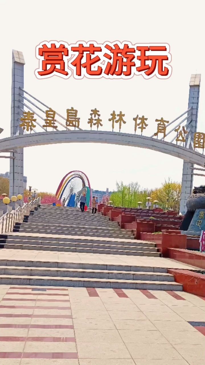 2024年4月22日森林体育公园赏花游玩