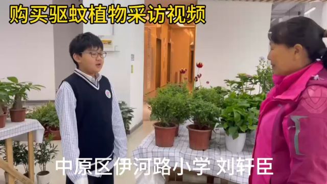 购买驱蚊植物及采访卖家视频