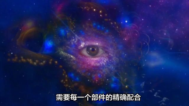 是谁安排好了宇宙的一切?用一个抛硬币的实验,就能解释清楚