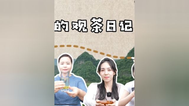 台湾茶人的观茶日记:让我们拭目以待,湖南茶产业的未来还有无限可能和光明远景 #台海时刻