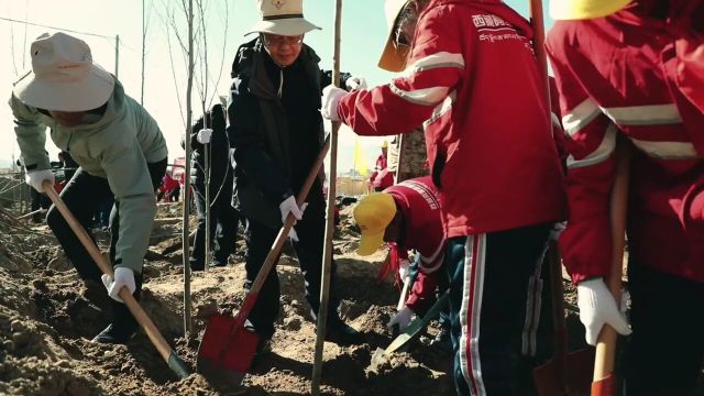 植此青绿,万物春生,春来新绿美