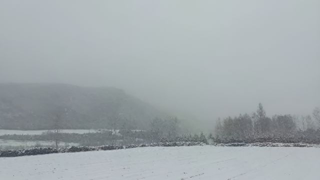 河北承德多地4月下雪一夜返冬:四月天飘起鹅毛大雪