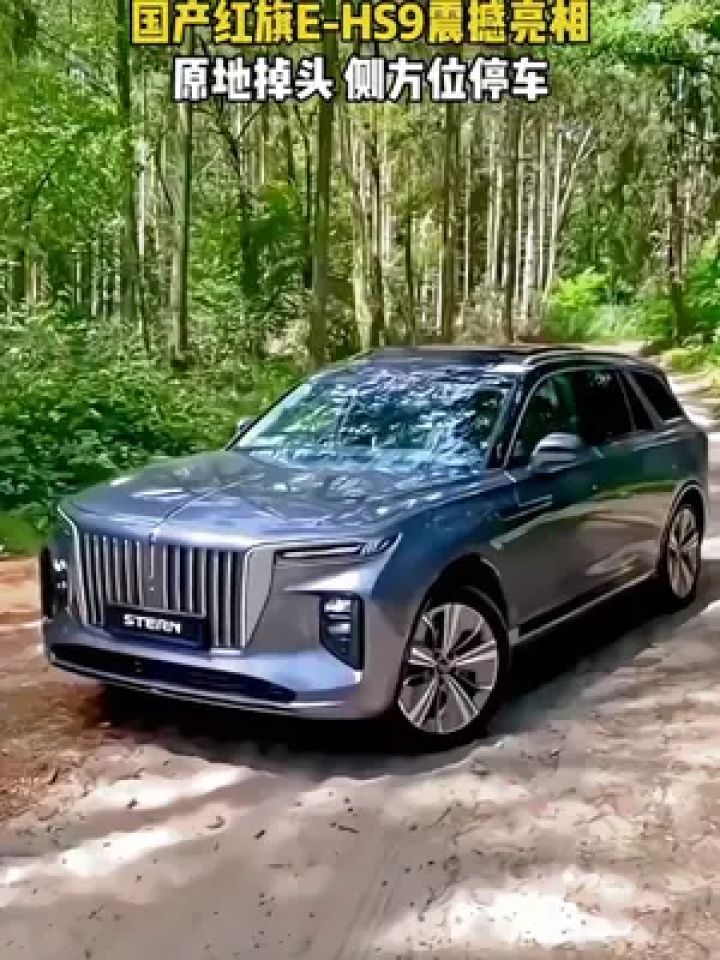 带你懂车 #一汽红旗 #红旗ehs9