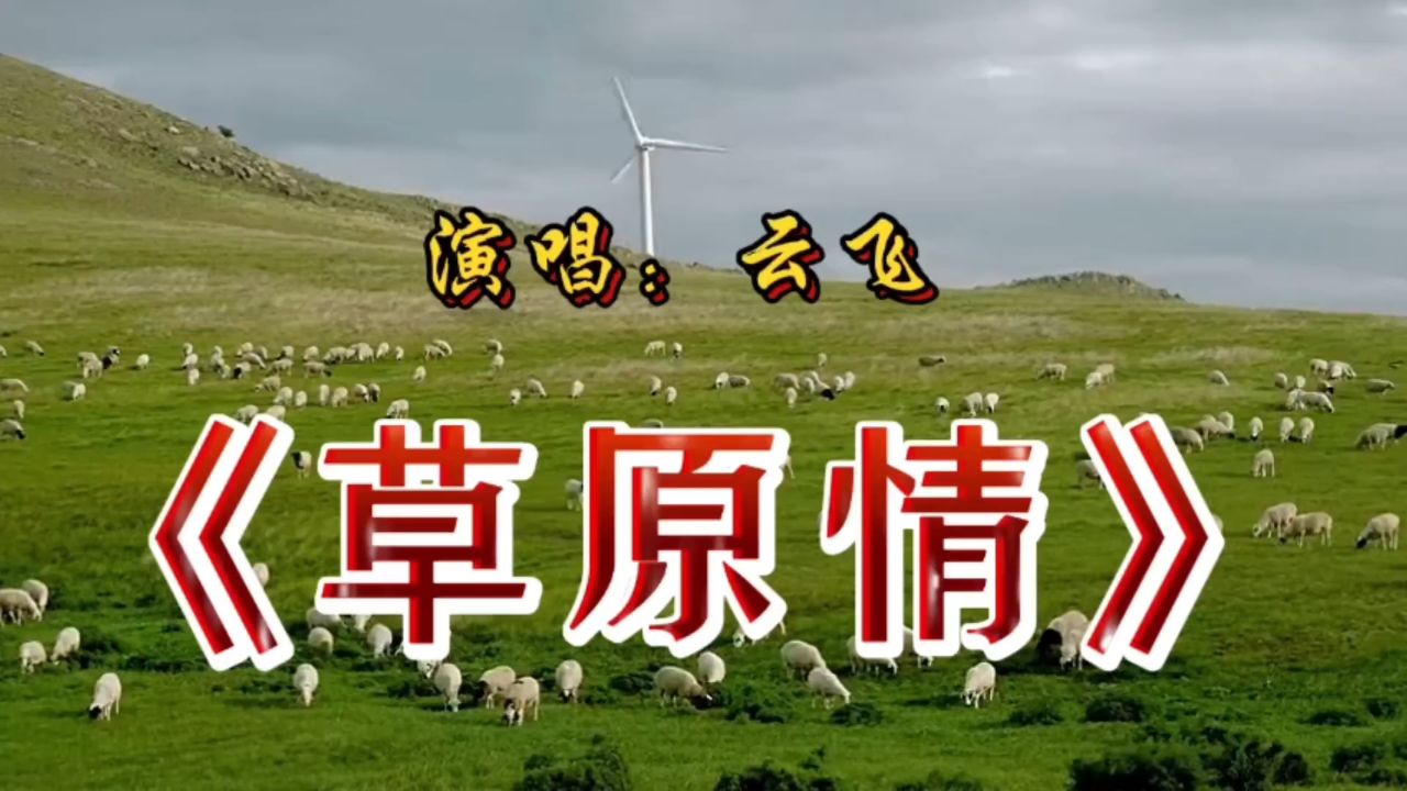 歌手云飞演唱完整版《草原情》嗓音清澈干净,真好听,太醉人了!