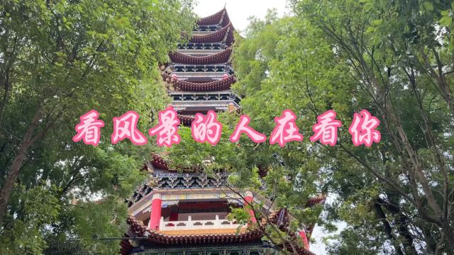 城郊健康公园,爬山,赏景,看城市