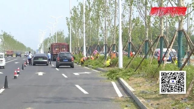 廊坊广电ⷥ…𓦳褸讐Š廊坊临空经济区:加快推进区域绿化建设 迎接廊坊经洽会