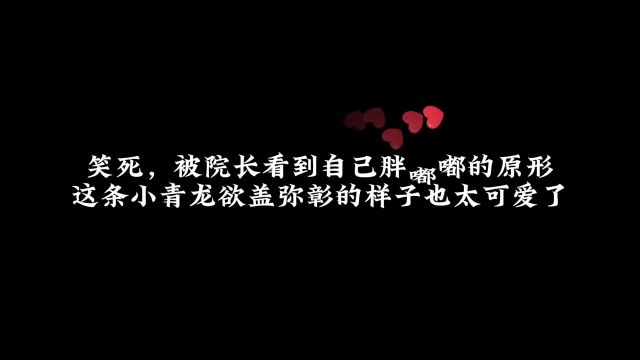 吗?那是我养的宠物哈哈哈那明明是你自己欲盖弥彰好可爱啊推文 配音 #广播剧