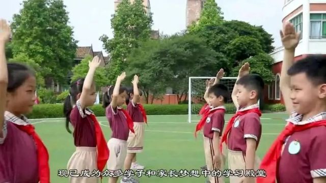 看这里!一年级和七年级招生入学政策