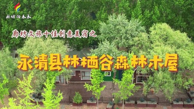 微视频丨廊坊文旅十佳创意美宿之永清县林栖谷森林木屋