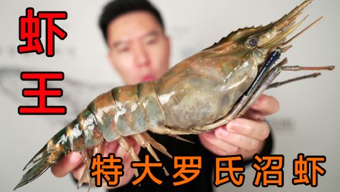 虾王来了，一只1斤比手臂还粗的罗氏沼虾，碳烤整只抱着啃过瘾