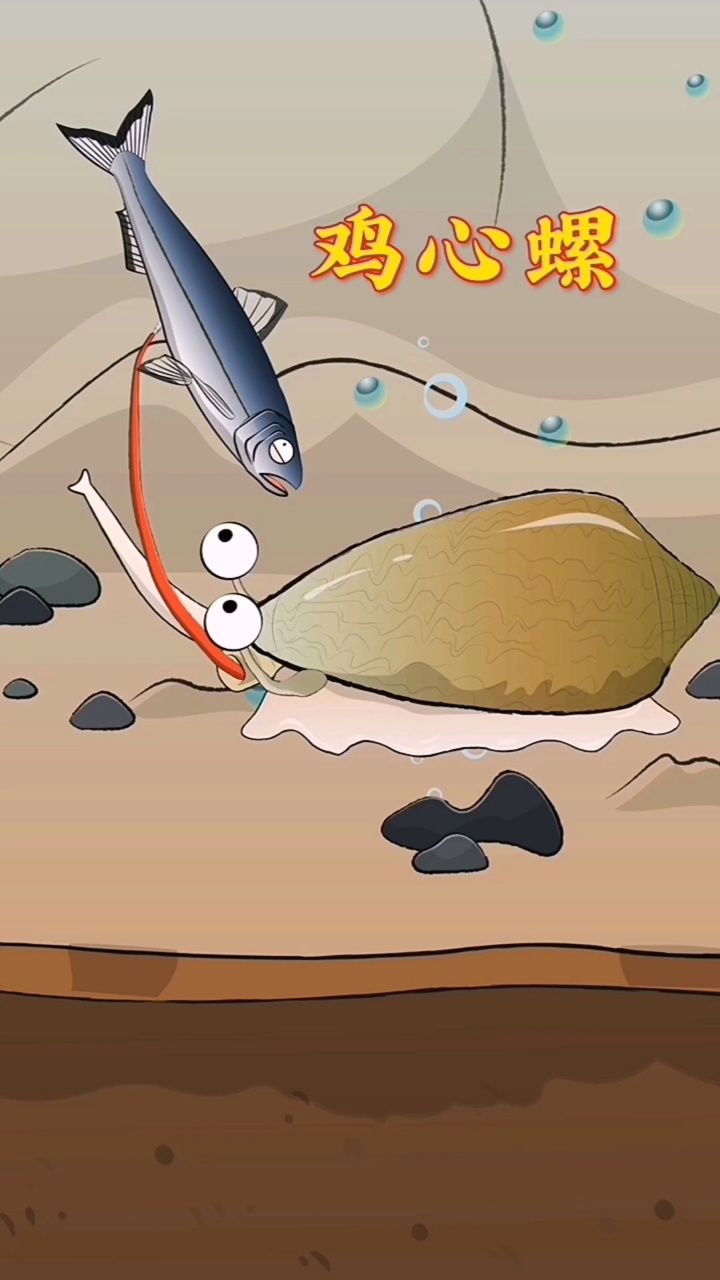 你知道鸡心螺是怎么捕食的吗?