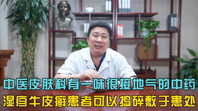 中医皮肤科有一味很接地气的药,湿疹牛皮癣患者可以捣碎敷于患处