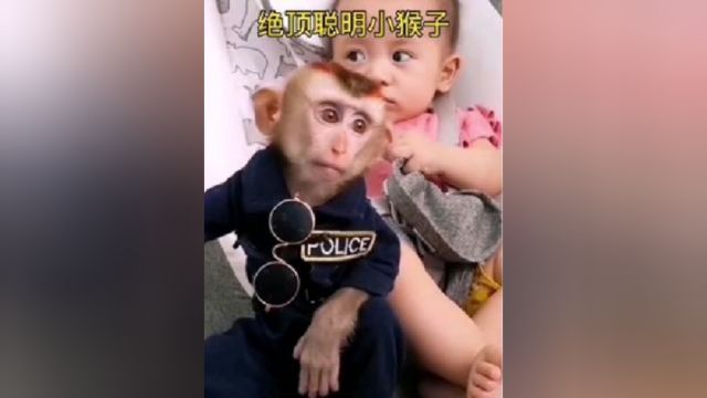 绝顶聪明的小猴子不仅照顾妹妹,还能帮妈妈分担家务