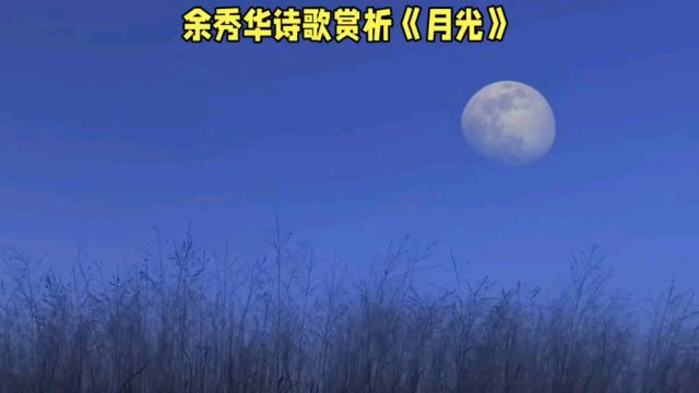 余秀华《月光》:孤独与绝望中的生命反思