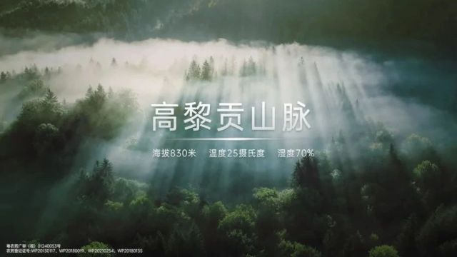 来看!我们在高黎贡山“整了个活”