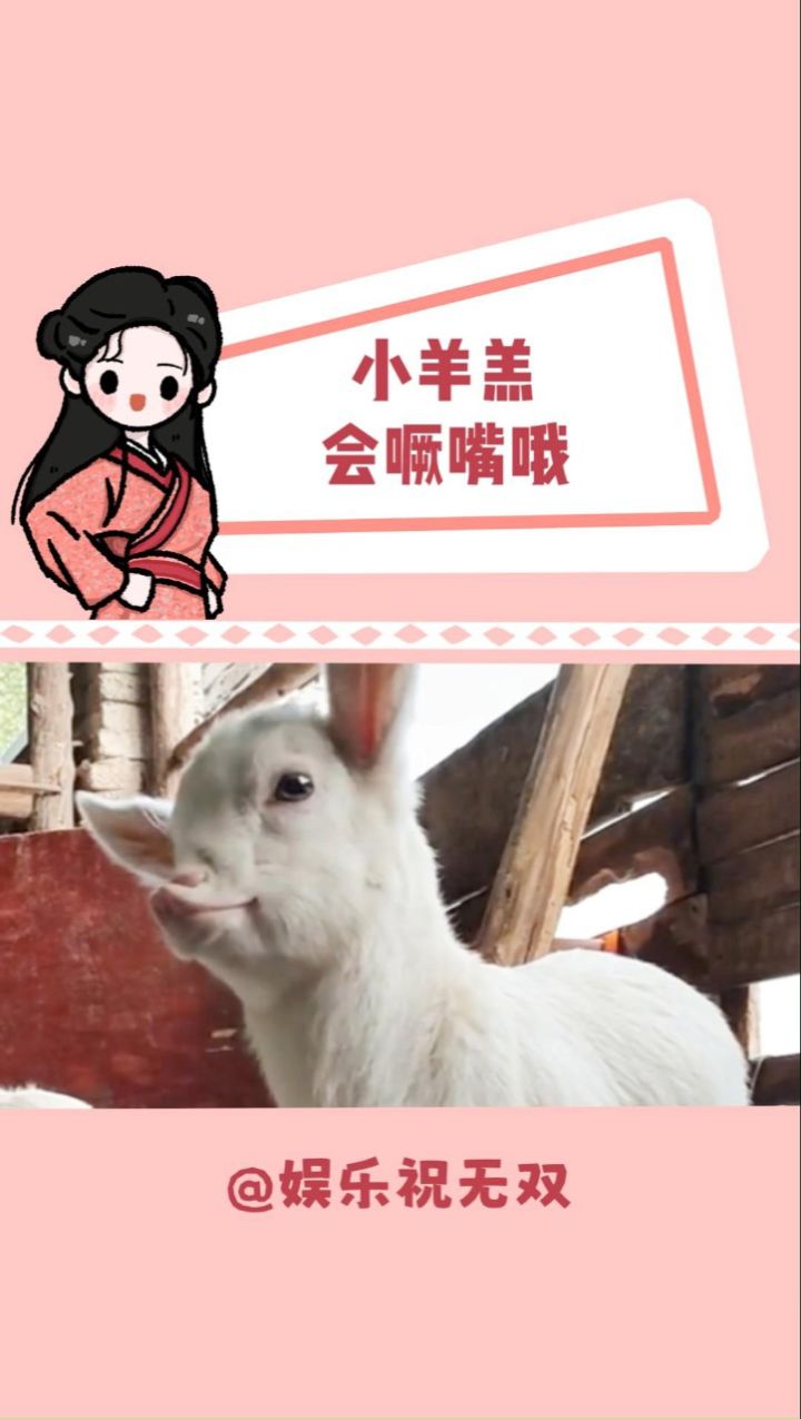 第一次看见小羊噘嘴噢