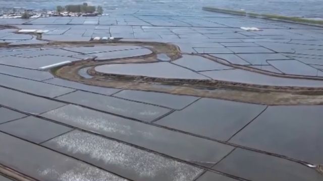 在希望的田野上,东北地区春播进度过半,各进度均快于上年同期