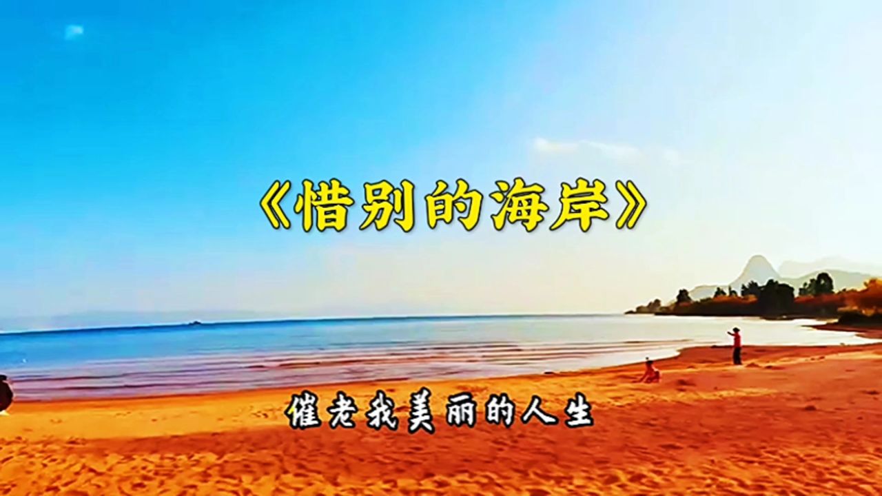 经典老歌《惜别的海岸》,旋律优美,百听不厌