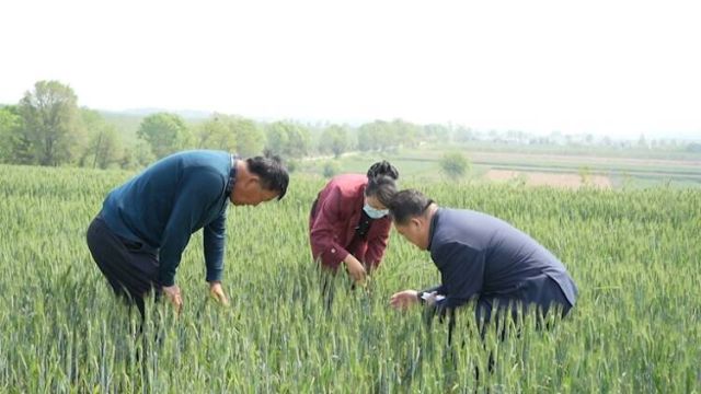 荣成市多措并举扎实推进农业生产各项工作 确保粮食丰产丰收