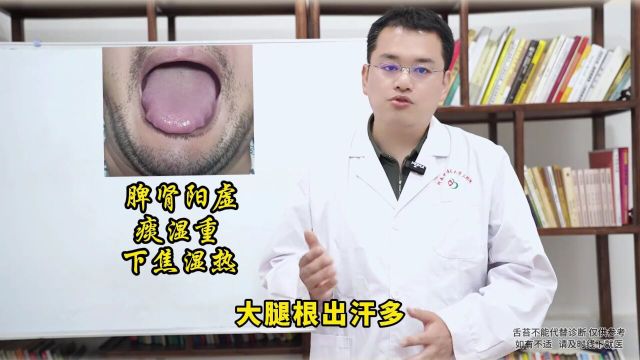 这样的舌头脾肾阳虚痰湿重下焦湿热