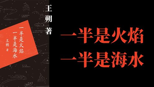 好书精读 |《一半是火焰,一半是海水》 王朔 /著