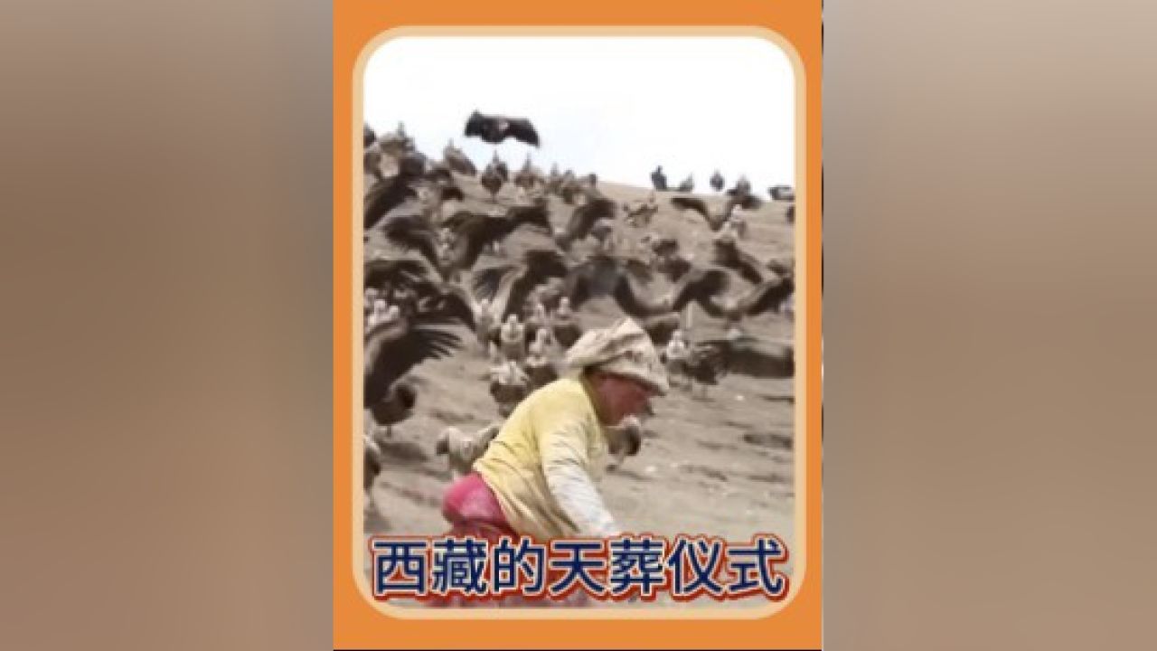 2西藏神秘的天葬仪式,成群的秃鹫,被视为天葬的实行者#纪录片#纪录片解说#西藏#天葬_高清1080P在线观看平台_腾讯视频