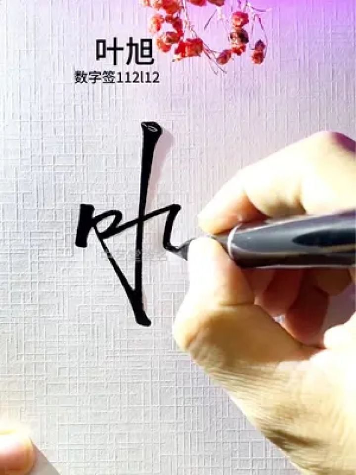 这样签名挺简单的 叶旭,数字签112l12,巧妙的签名简单又好看.