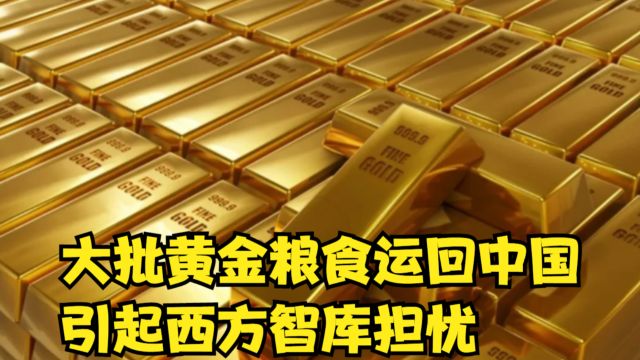 大批黄金粮食运回中国,引起西方智库担忧,怕中方有大动作