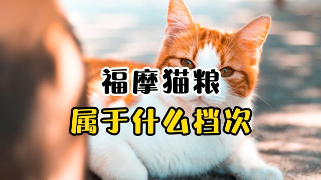 福摩猫粮属于什么档次的品牌