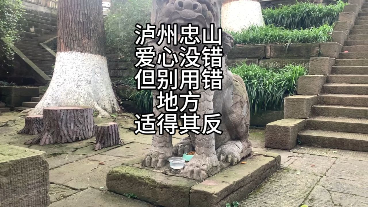 泸州忠山不雅一幕,有爱心没有错,但放错地方就适得其反