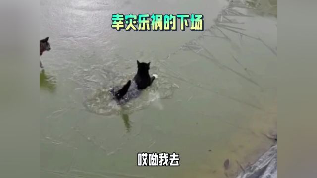  以后再也不装逼了