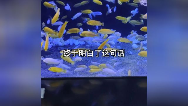 终于明白了这句话